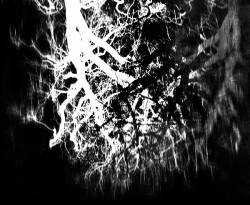 Serotonin Syndrome : I